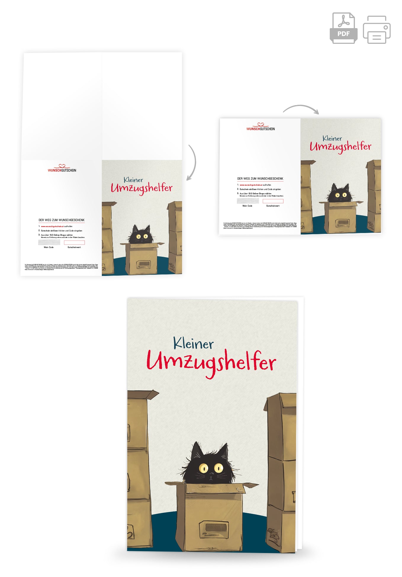 Kleiner Umzugshelfer - Katze