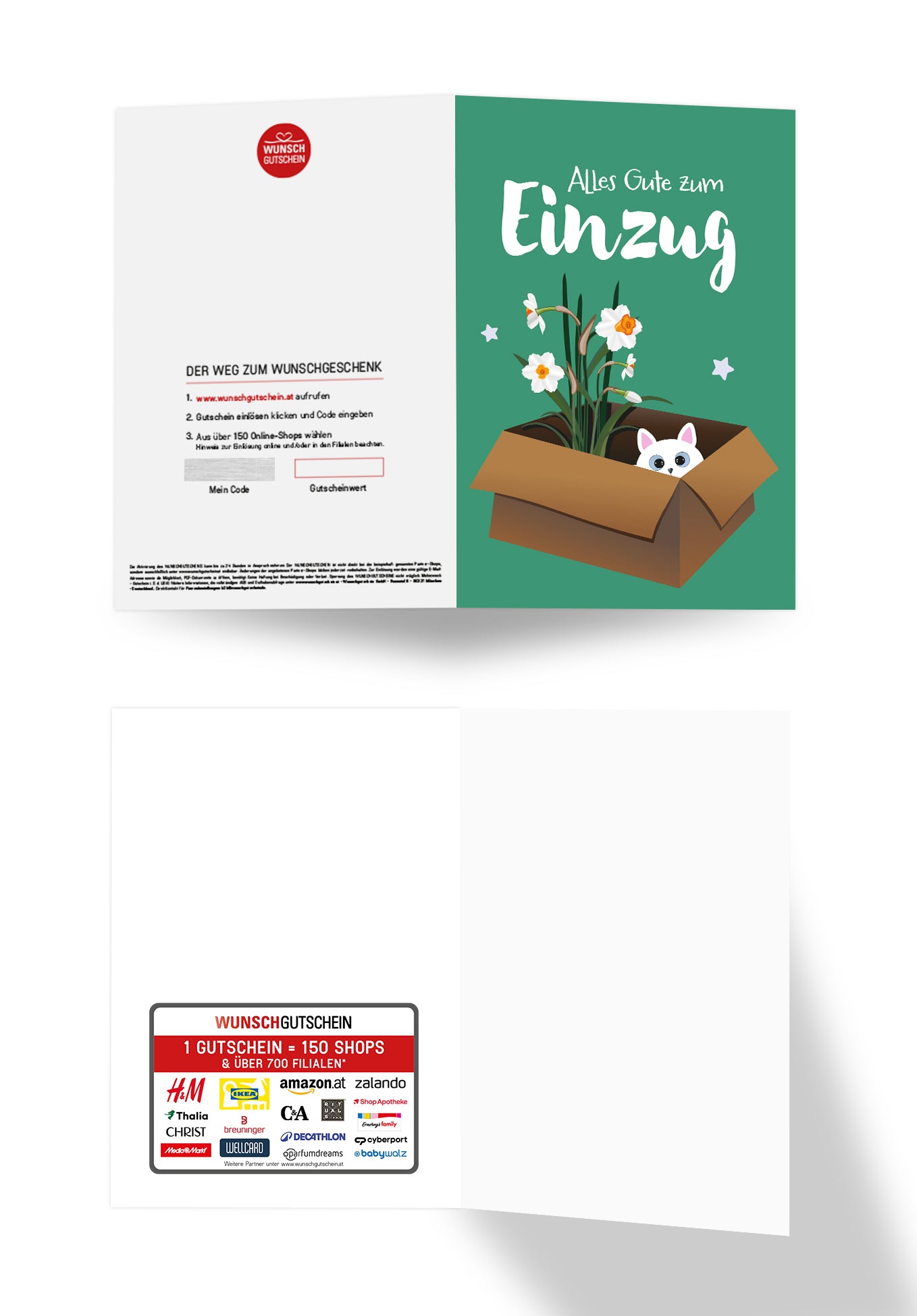 Alles Gute zum Einzug - Katze und Blume