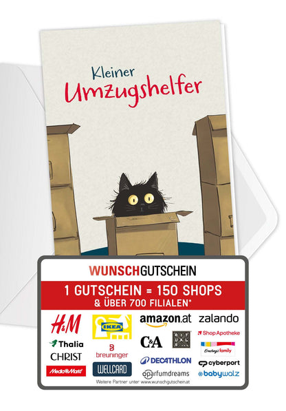Kleiner Umzugshelfer - Katze