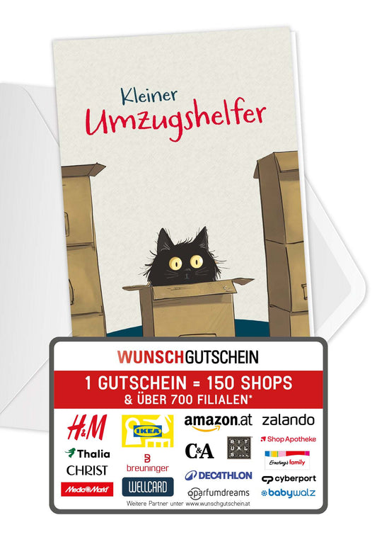 Kleiner Umzugshelfer - Katze