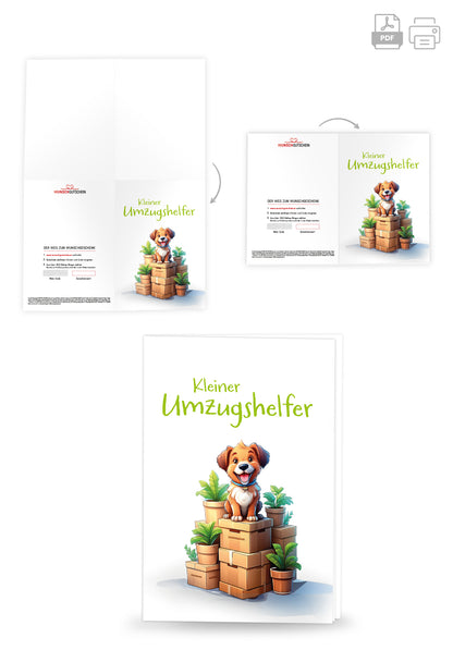 Kleiner Umzugshelfer - Hund